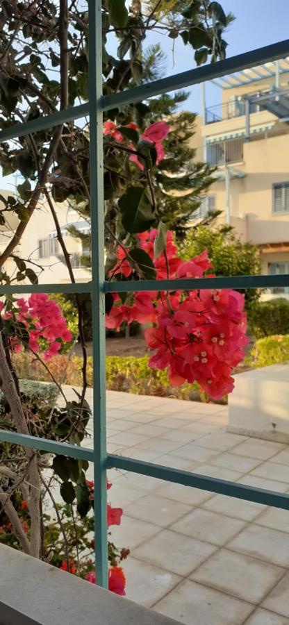 Pelagos Hill Appartement *
